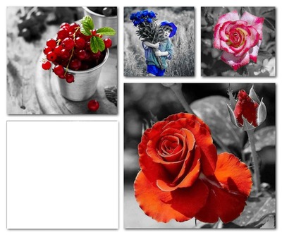 rose Fotomontáž
