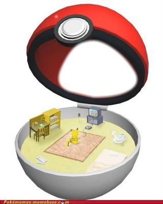 pokemon Photomontage