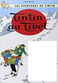 Tintin Montage photo