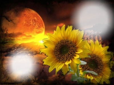Sunflower Fotomontaggio