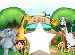 zoo Fotómontázs