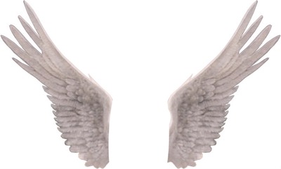 les ailes du paradis Фотомонтажа