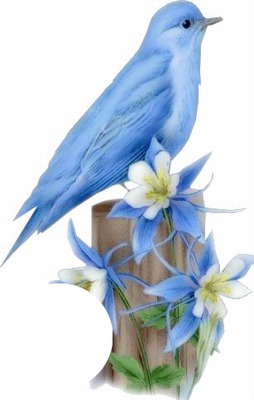 oiseau bleu Photomontage