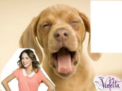 Violetta with dog Photo frame effect
