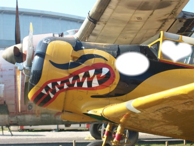 avion ailes anciennes Montaje fotografico