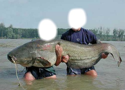 Montage photo posson Pixiz