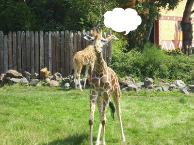 girafe Фотомонтаж