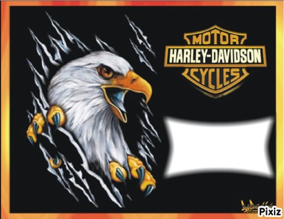 Harley 2 Photo frame effect