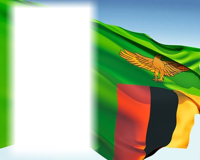 Zambia flag Photo frame effect