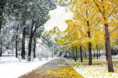 осень-зима Фотомонтажа