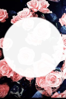 flowers & circle Fotomontage