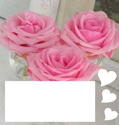 Trandafiri roz! ( pink roses) Fotomontaža