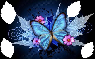 papillon avec 3 fleurs 4 photos