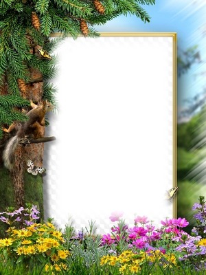 mókus fenyő keret Photo frame effect
