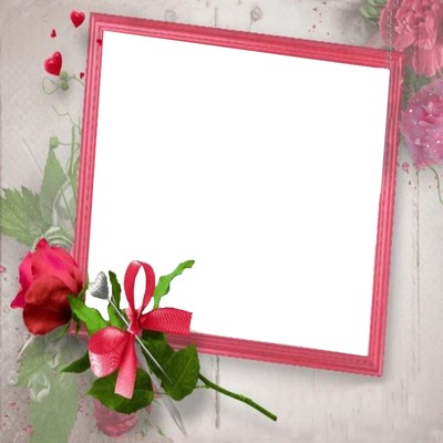 marco y rosa fucsia. Photo frame effect