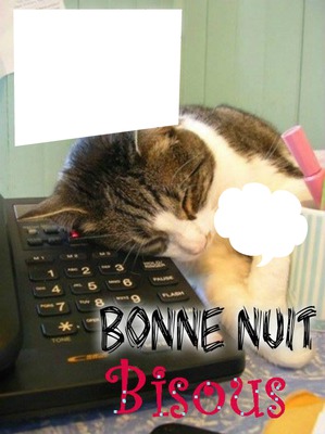 chat qui dort sur téléphone 2 photos フォトモンタージュ