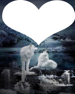 coeur de loups Montage photo