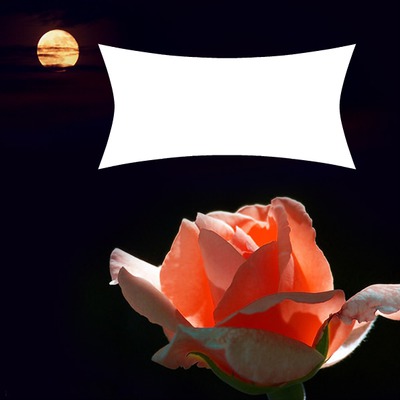 Rosa con luna Montaje fotografico