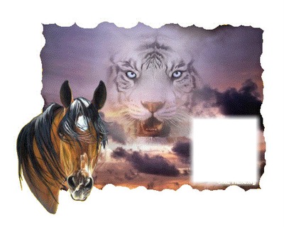 tigre & cheval Fotomontaggio