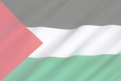 BaDi Palestine FlaG Fotomontažas