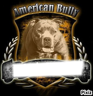 bully Fotomontage