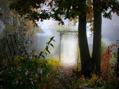 jardin d'automne Fotomontage