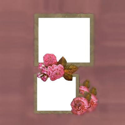 marco para 2 fotos con flores fucsia. Fotomontáž