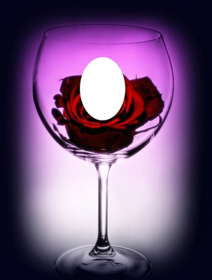 rose wine glass-hdh 1 Photo frame effect