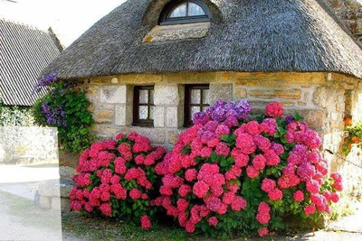 casa e flores Fotomontaggio