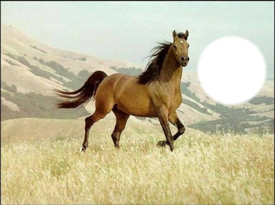 cheval Fotomontažas