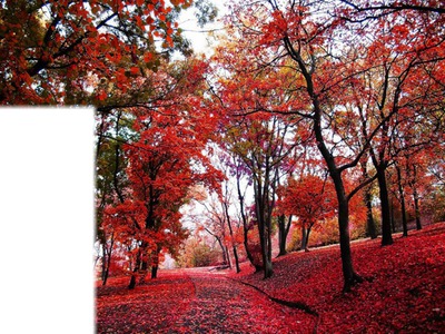 couleur d'automne Fotomontaža