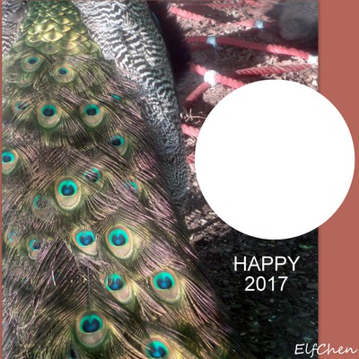 HAPPY 2017 Fotomontāža