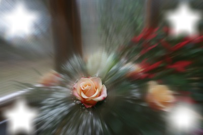 rose filtre Cokin Fotomontaggio
