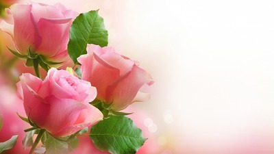 drei Rosen für dich Photomontage