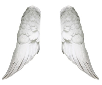 ailes d'ange Fotomontaggio