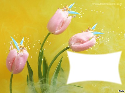 tinkerbell flowers Photo frame effect