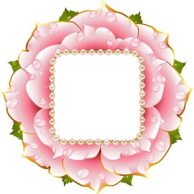 marco perlas y rosa rosada. Photo frame effect
