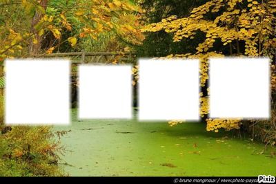 automne Photo frame effect