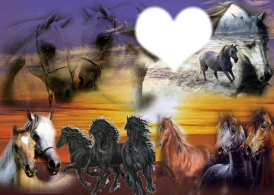 troupeaux de  chevaux Valokuvamontaasi