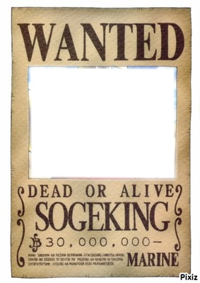wanted one piece Fotomontage