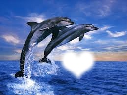 I love dauphin Valokuvamontaasi