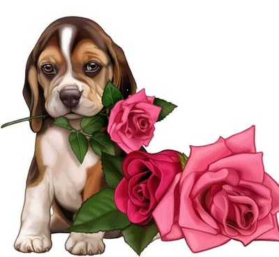 chien a la rose Fotomontaż