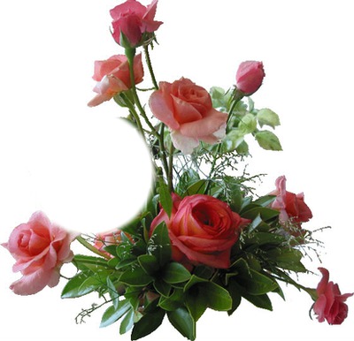 bouquet de rose Photomontage