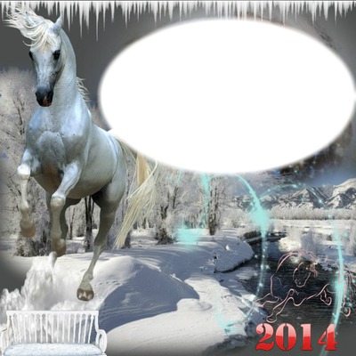 cadre cheval blanc* Fotomontaż
