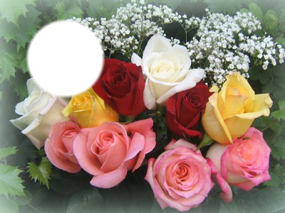 bouquet de roses Photo frame effect