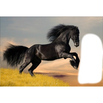 cheval noir Fotomontage
