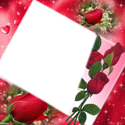 cadre avec des roses Photo frame effect