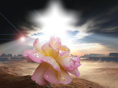 Solange langevin Photo frame effect