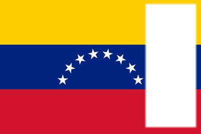 Venezuela flag Montaje fotografico