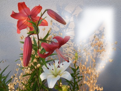 fleur Fotomontasje
